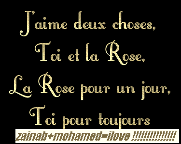 moi   et  toi mon amoure